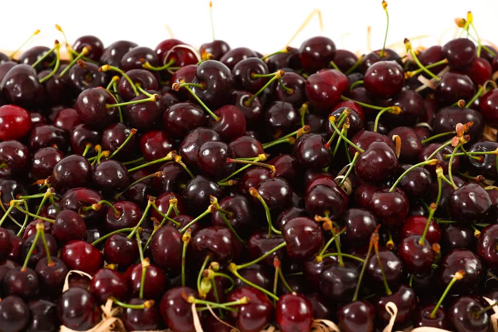 Cherry Hamper 4kg image 1